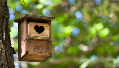 Woning beschikbaarheid